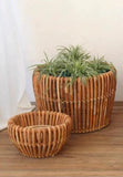 Bouquet planter (set of 2)