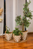 Macrame tassle planter (set of 3)