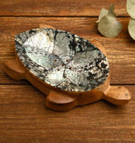 TURTLE SHELL INLAY Soap Dish