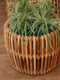 Bouquet planter (set of 2)