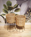 Water Hyacinth Planter (set of 2)