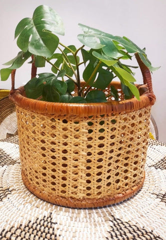 Rattan webbed Basket