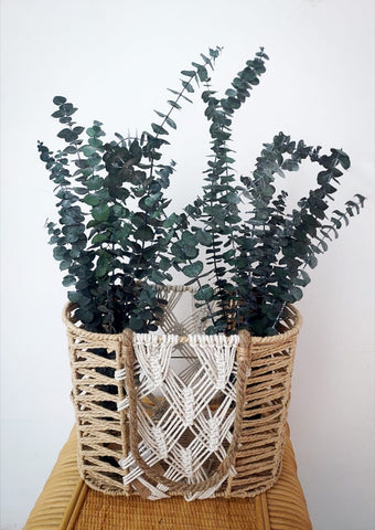 Natural dried eucalyptus branches