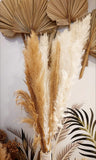 Dried Pampas Grass Decor