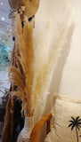 Dried Pampas Grass Decor