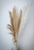 Dried Pampas Grass Decor