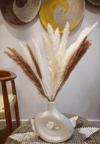 Natural Dried feather Grass
